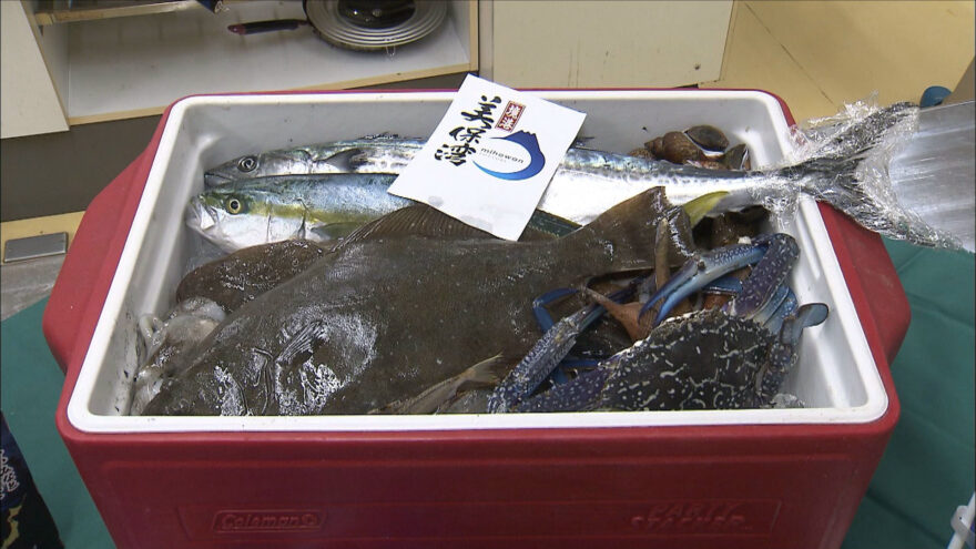 高校生による地元産魚介類活用料理作り！