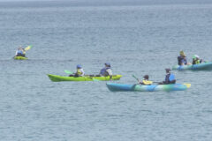 夏の海を満喫するためには“海のルール”が大切！