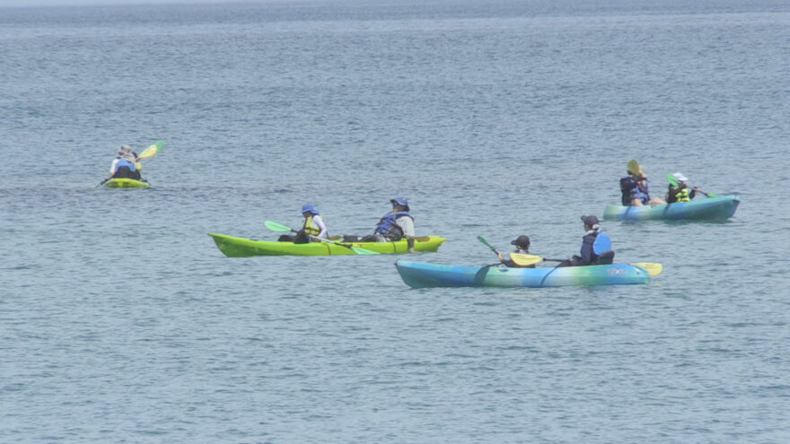 夏の海を満喫するためには“海のルール”が大切！