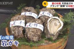 岩ガキ「夏輝」解禁！