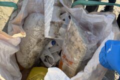 サスティナブルな未来をつくるワークショップ開催